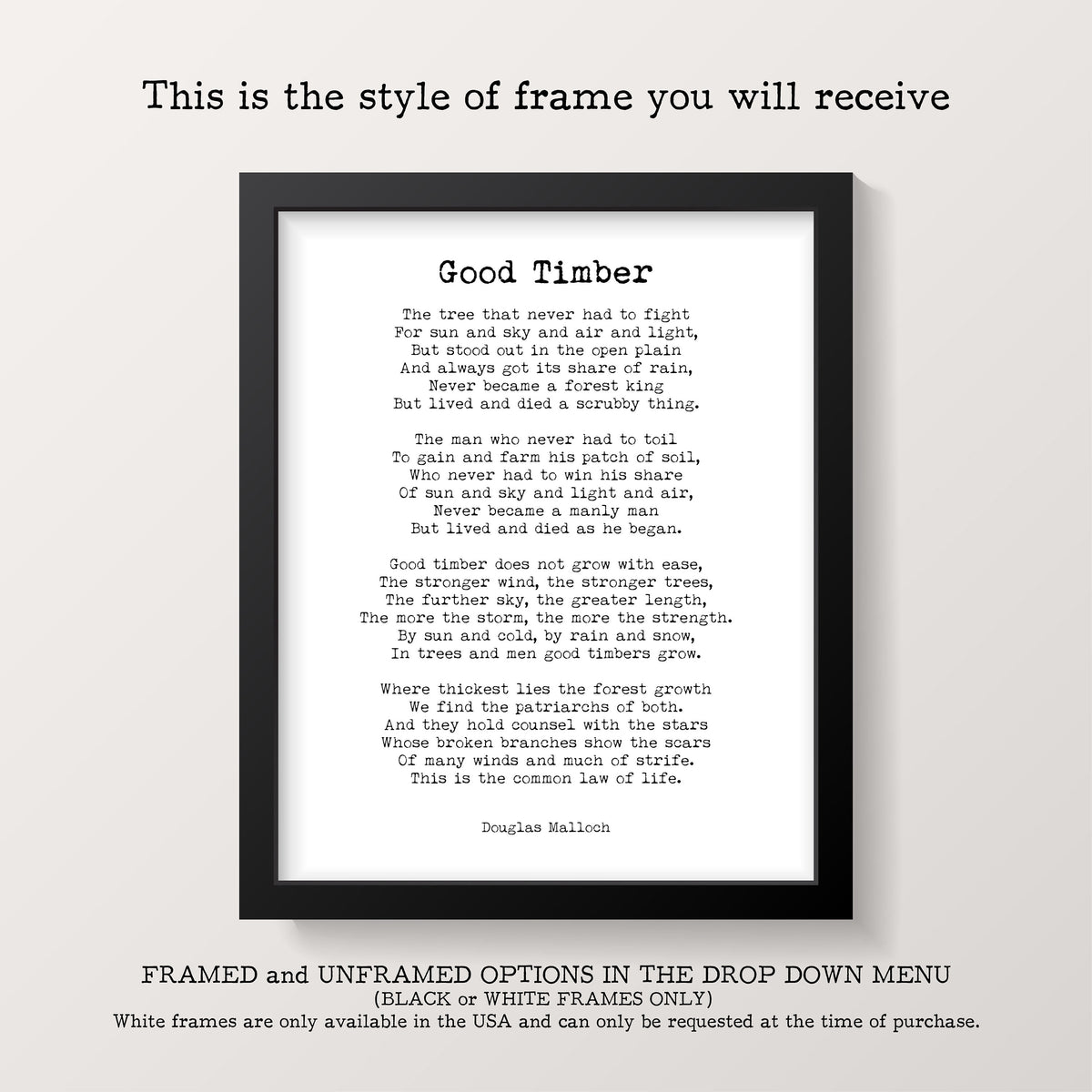 Mark Twain Quote Wall Art Explore Dream Discover Poster Twenty Years From Now Print Motivational Literary Decor Digital Or Physical