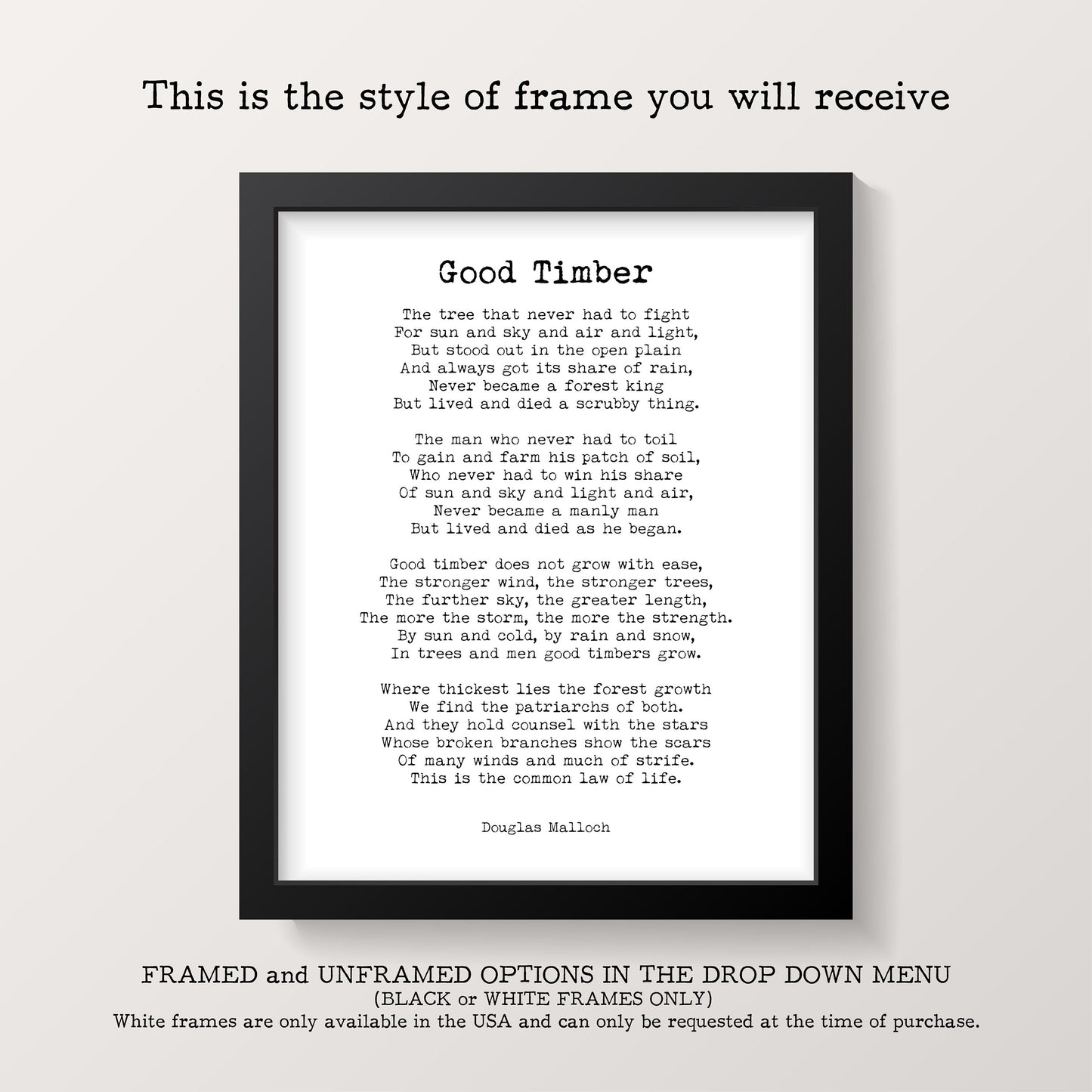 Haruki Murakami Quote Print | Kafka on the Shore Wall Art | Storm Quote Poster