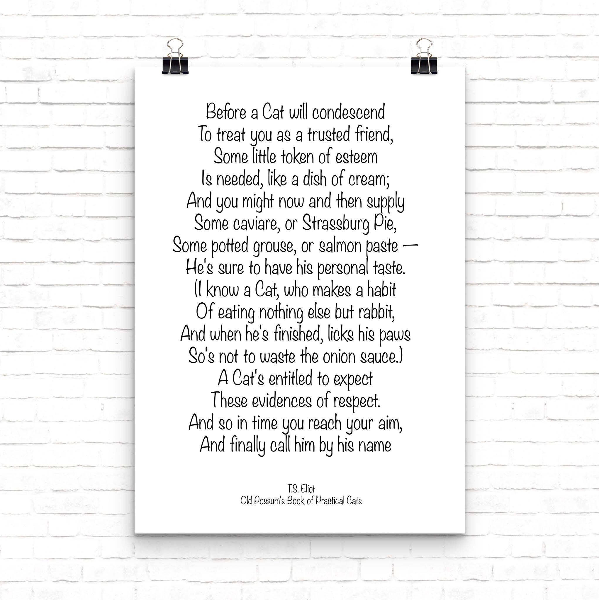 T S Eliot Cat Poem, Old Possum's Book Of Practical Cats Wall Art Print