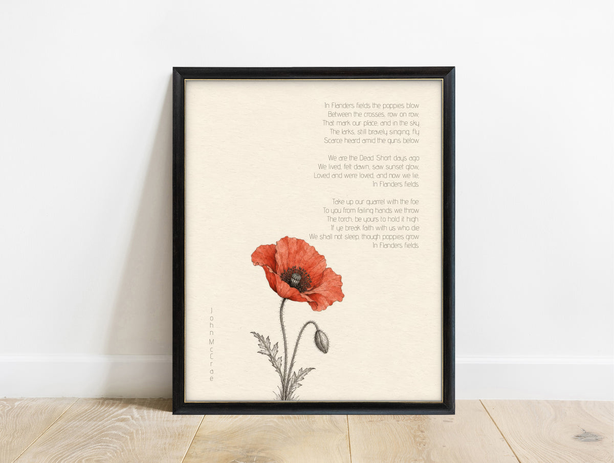 In Flanders Fields poem by John McCrae with a single red poppy botanical illustration, remembrance poem print in a black frame