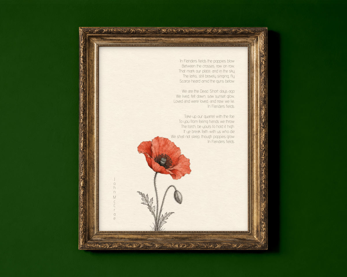 In Flanders Fields poem by John McCrae with a single red poppy botanical illustration, remembrance poem print shown in a gold frame for display only; framed prints are sent in a black frame