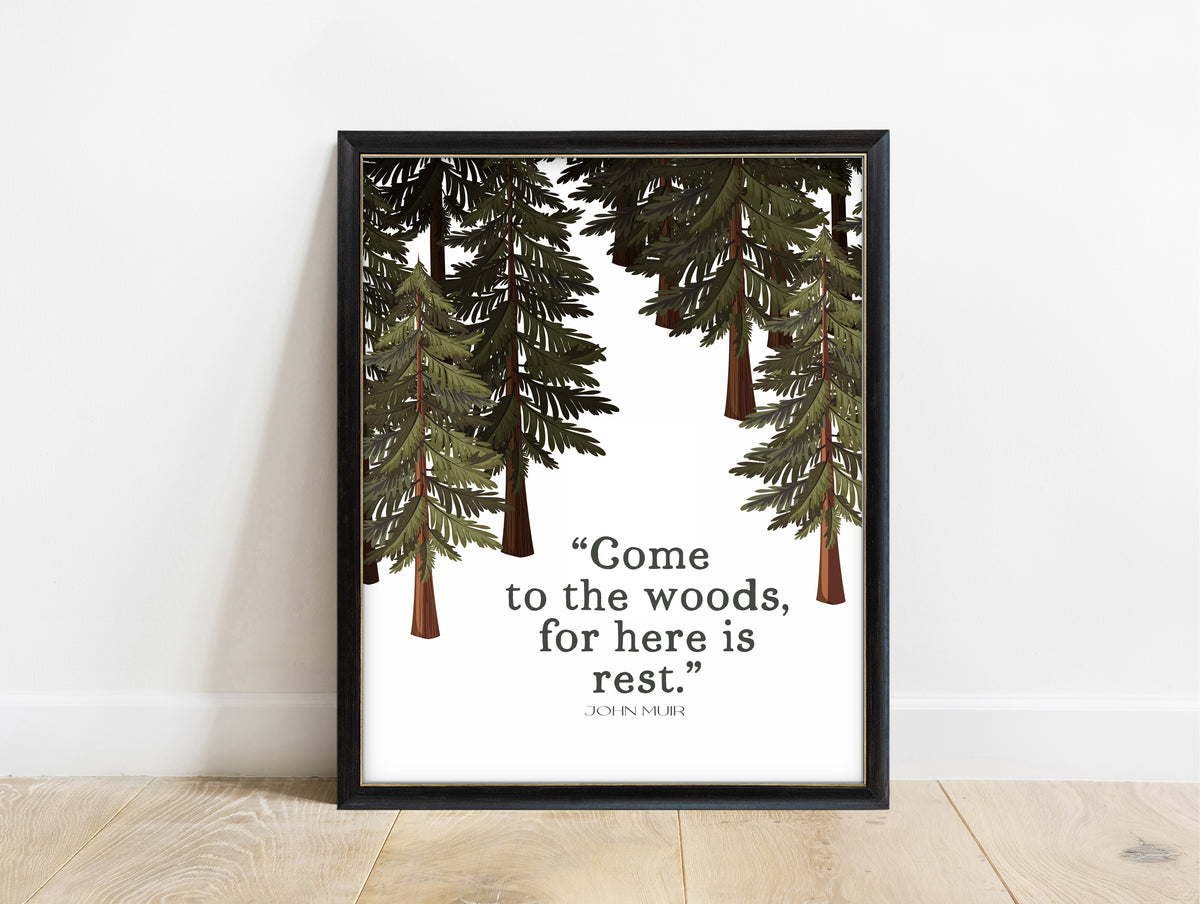 John Muir come to the woods for here is rest quote print with watercolour pines, in a black frame