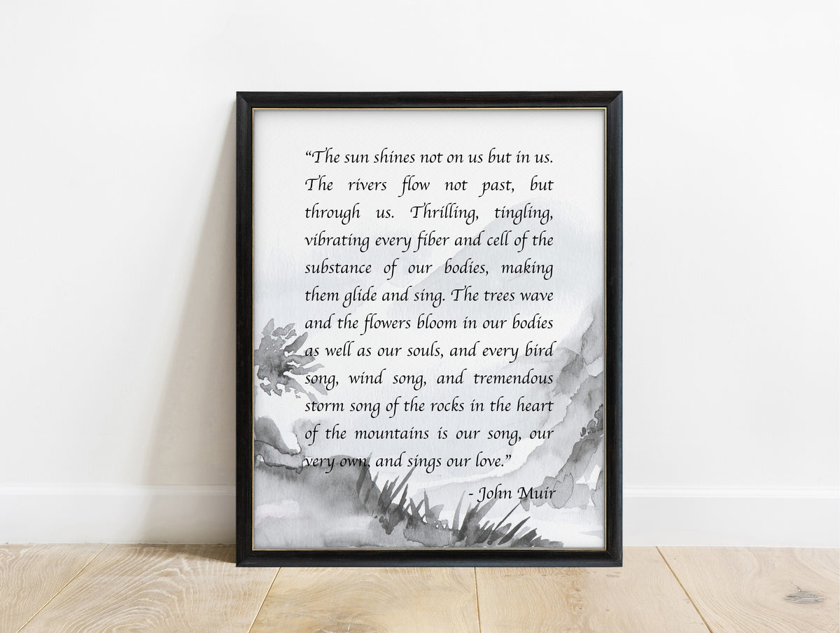 John Muir the sun shines not on us but in us calligraphy quote print, in a black frame