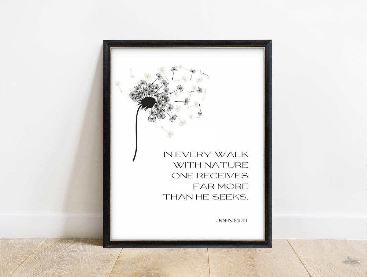 John Muir in every walk with nature quote print with a dandelion clock, in a black frame