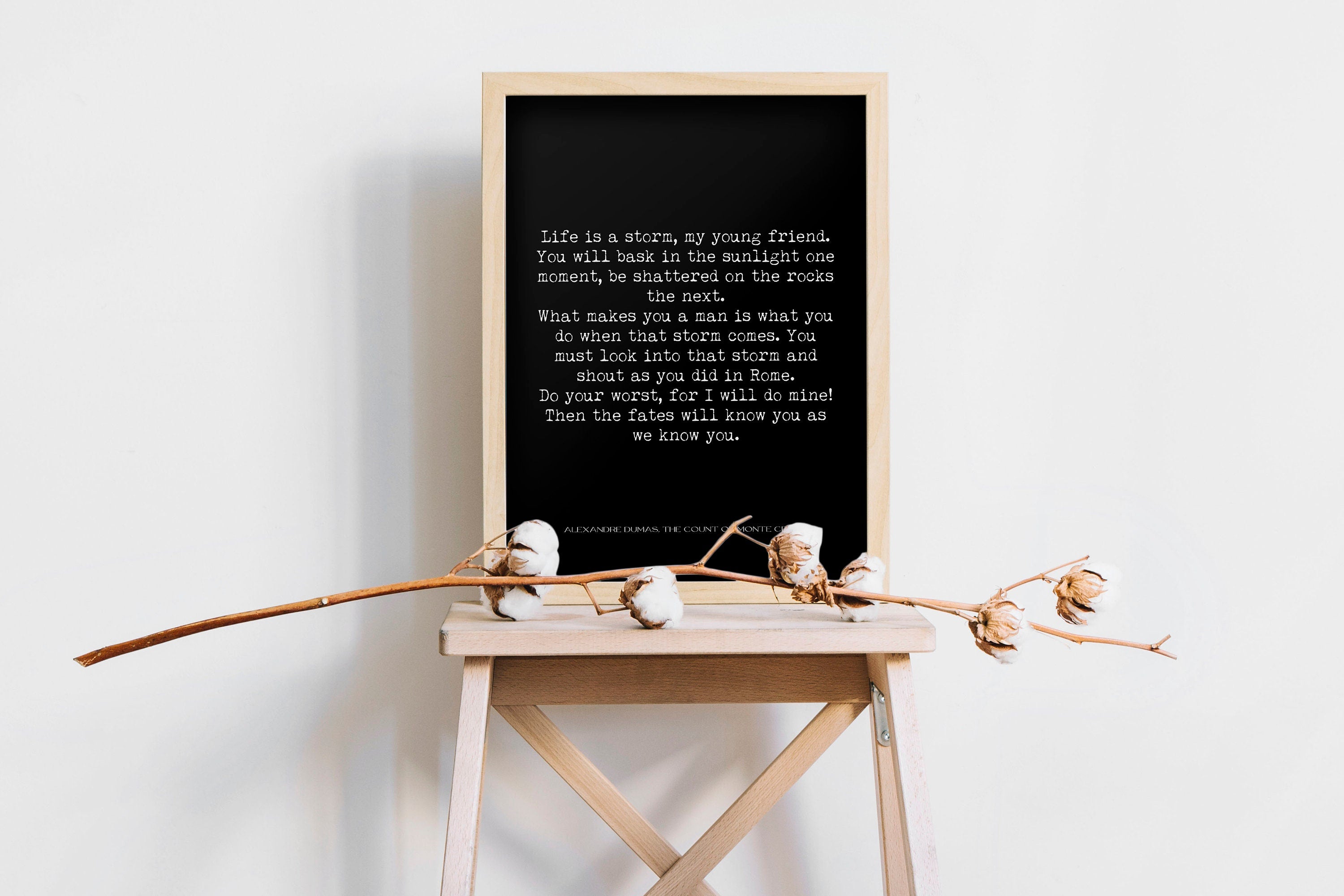 Life is a Storm Alexandre Dumas The Count of Monte Cristo Quote Print Office Wall Decor, Black & White Art Typography Wall Art Prints