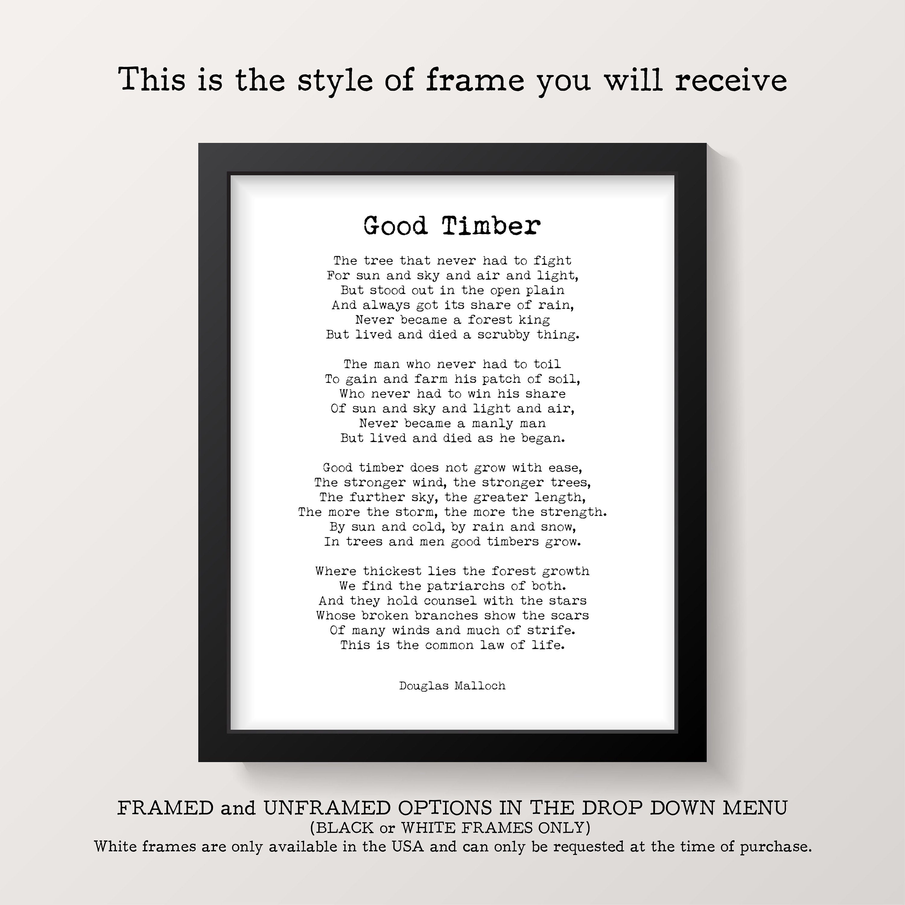 Great Expectations Romantic Wall Art Quote Print, Charles Dickens Quote Black & White Print Unframed or Framed Art