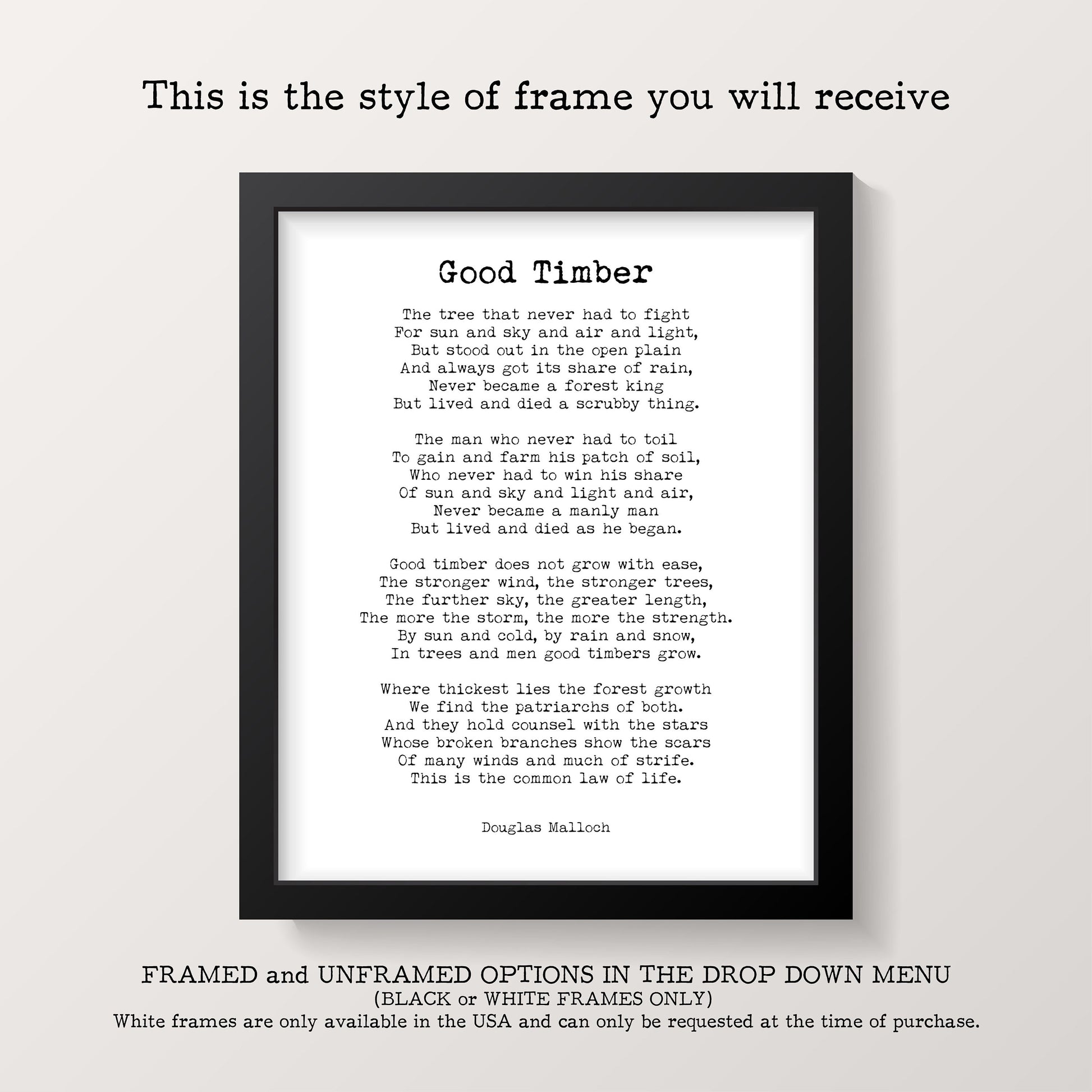 F Scott Fitzgerald Literary Quote Print • Start Over Again Inspirational Poster • Black and White Typewriter Style Wall Art Gift