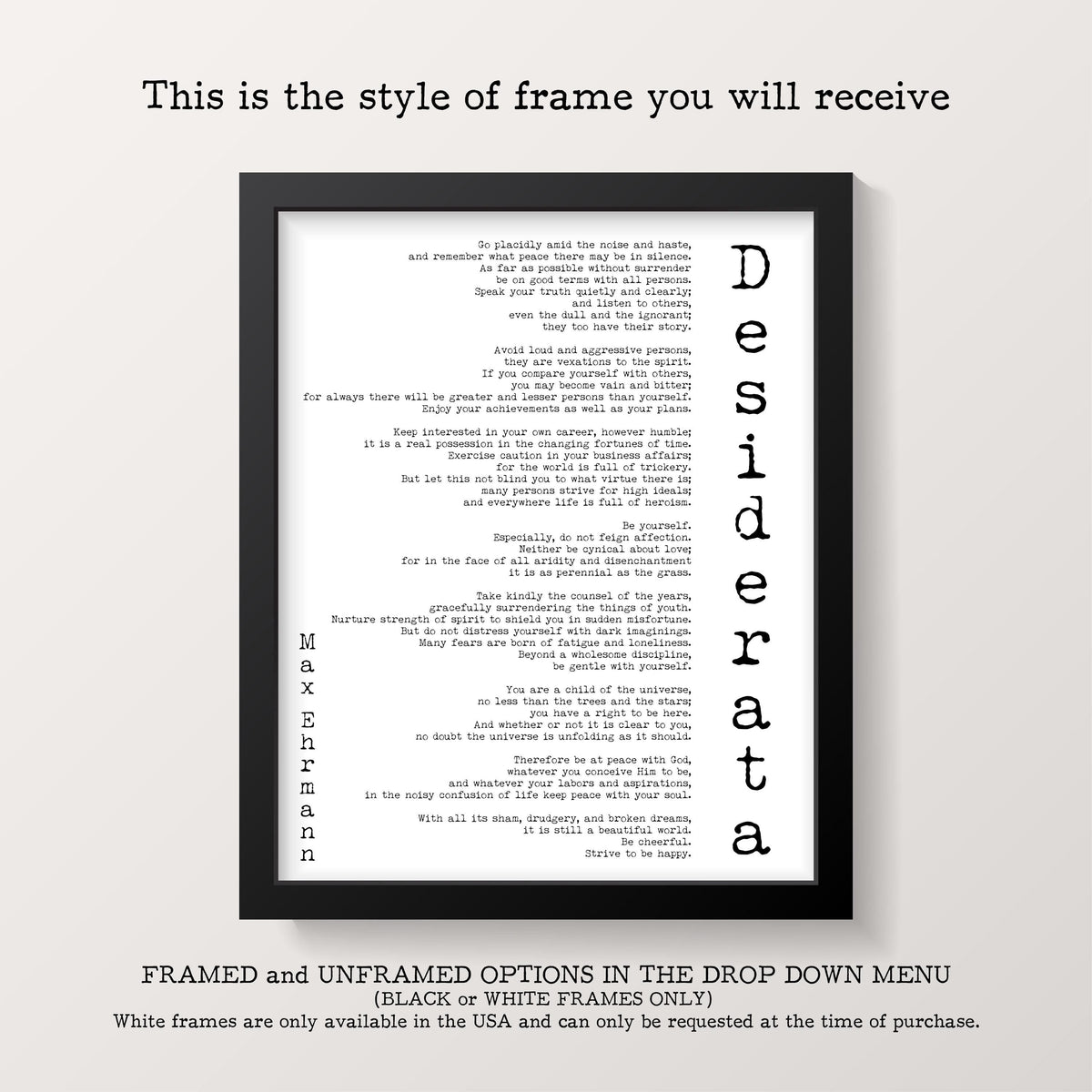 We Were Infinite Quote Print - Stephen Chbosky - Perks of Being a Wallflower Framed Unframed