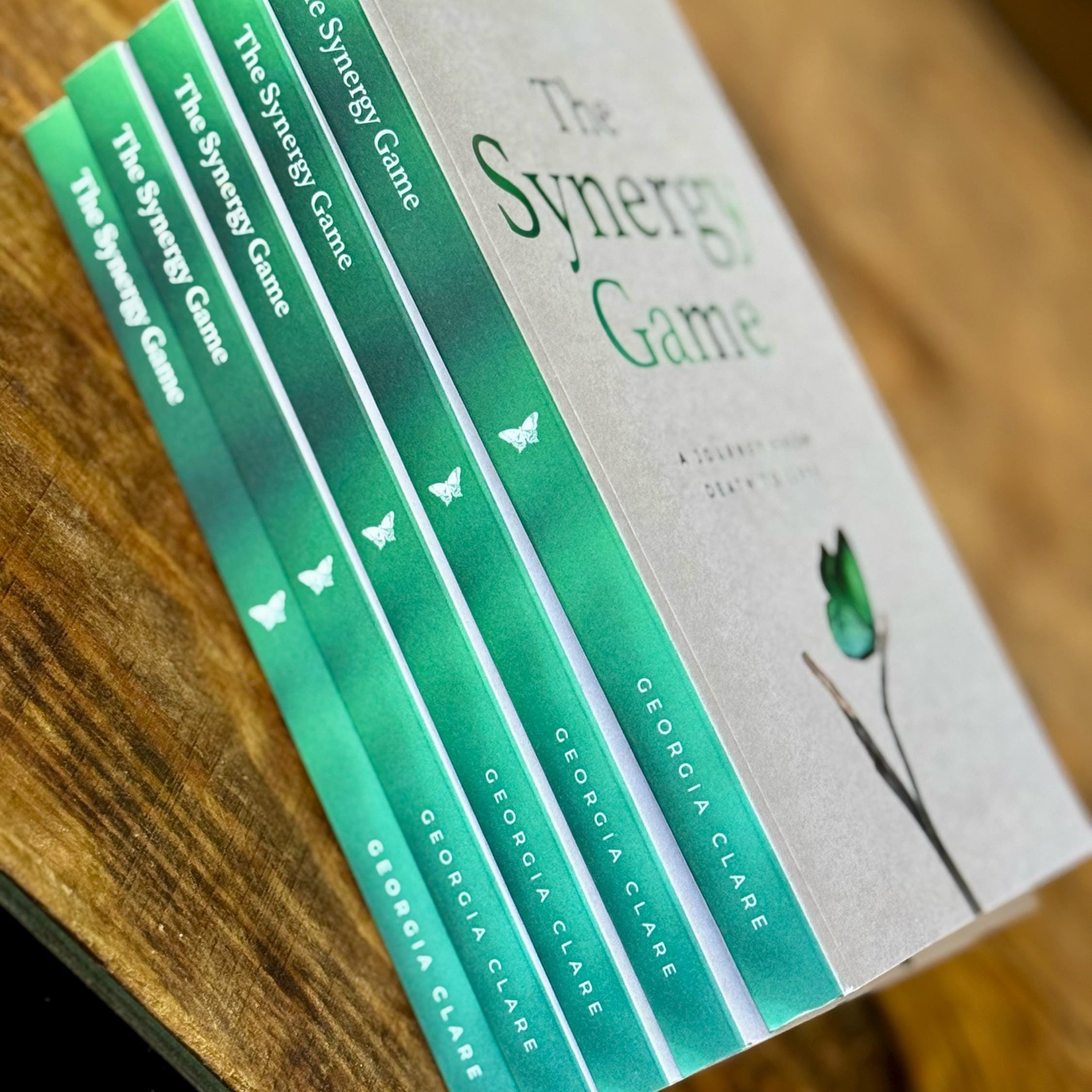 Healing After Loss Personal Growth Book - The Synergy Game by Georgia Clare