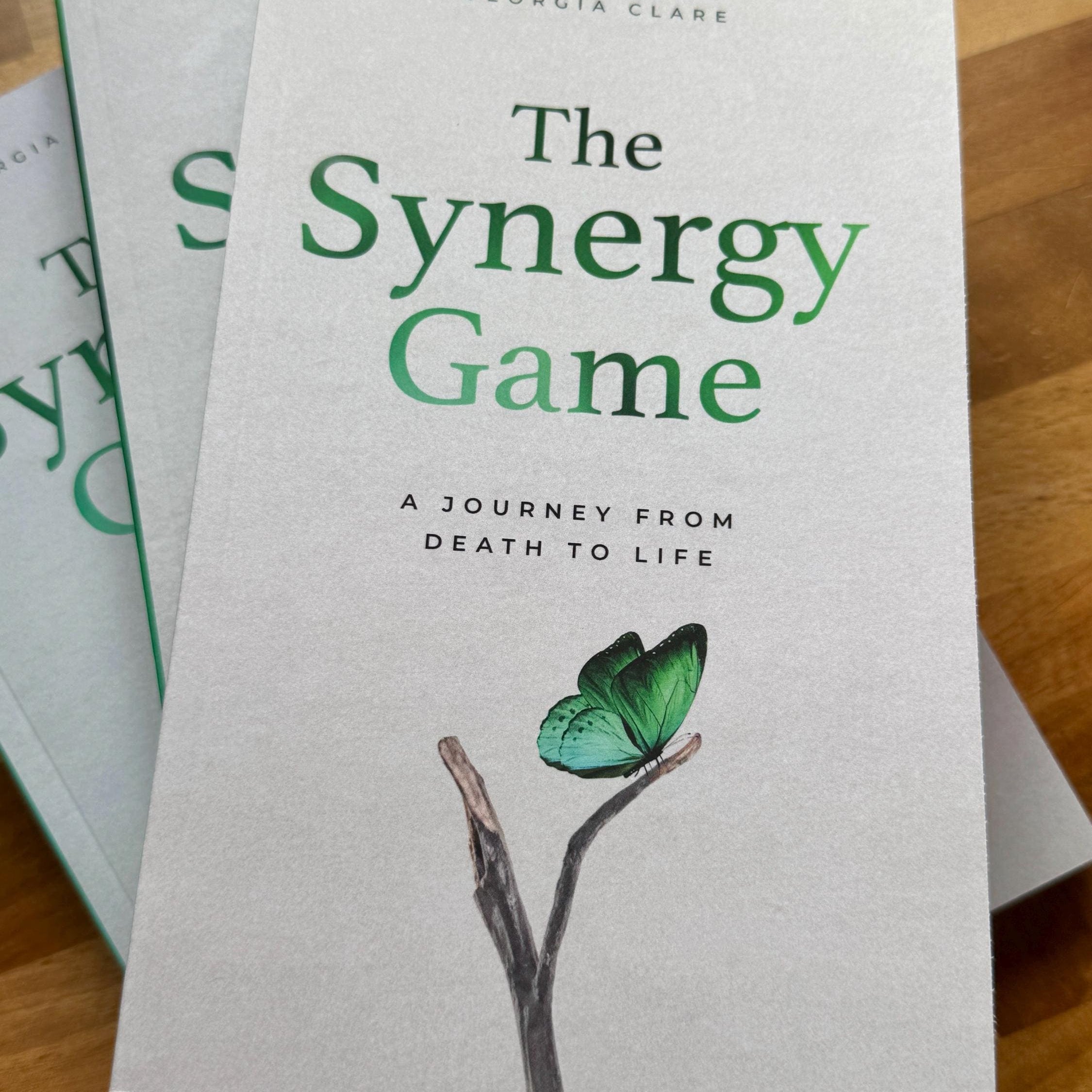 Healing After Loss Personal Growth Book - The Synergy Game by Georgia Clare