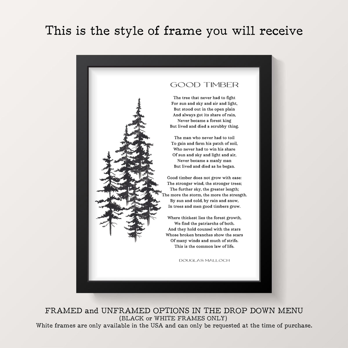 Napoleon Hill Quote Print – Typewriter Style Success Wall Art – Motivational Office Decor, Framed or Unframed