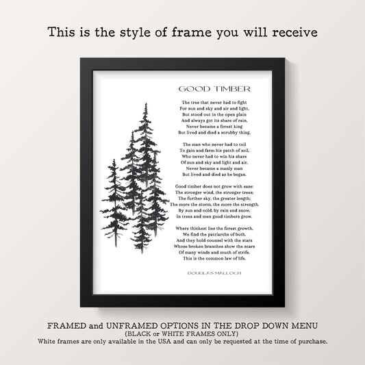 Napoleon Hill Quote Print – Typewriter Style Success Wall Art – Motivational Office Decor, Framed or Unframed