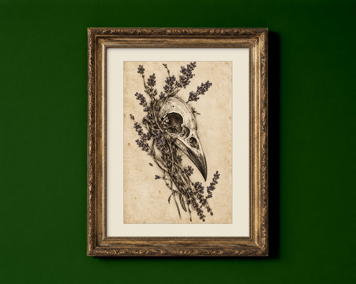 Raven skull with lavender drawn in ink on aged parchment, dark academia botanical sketch print shown in a gold frame for display only; framed prints are sent in a black frame