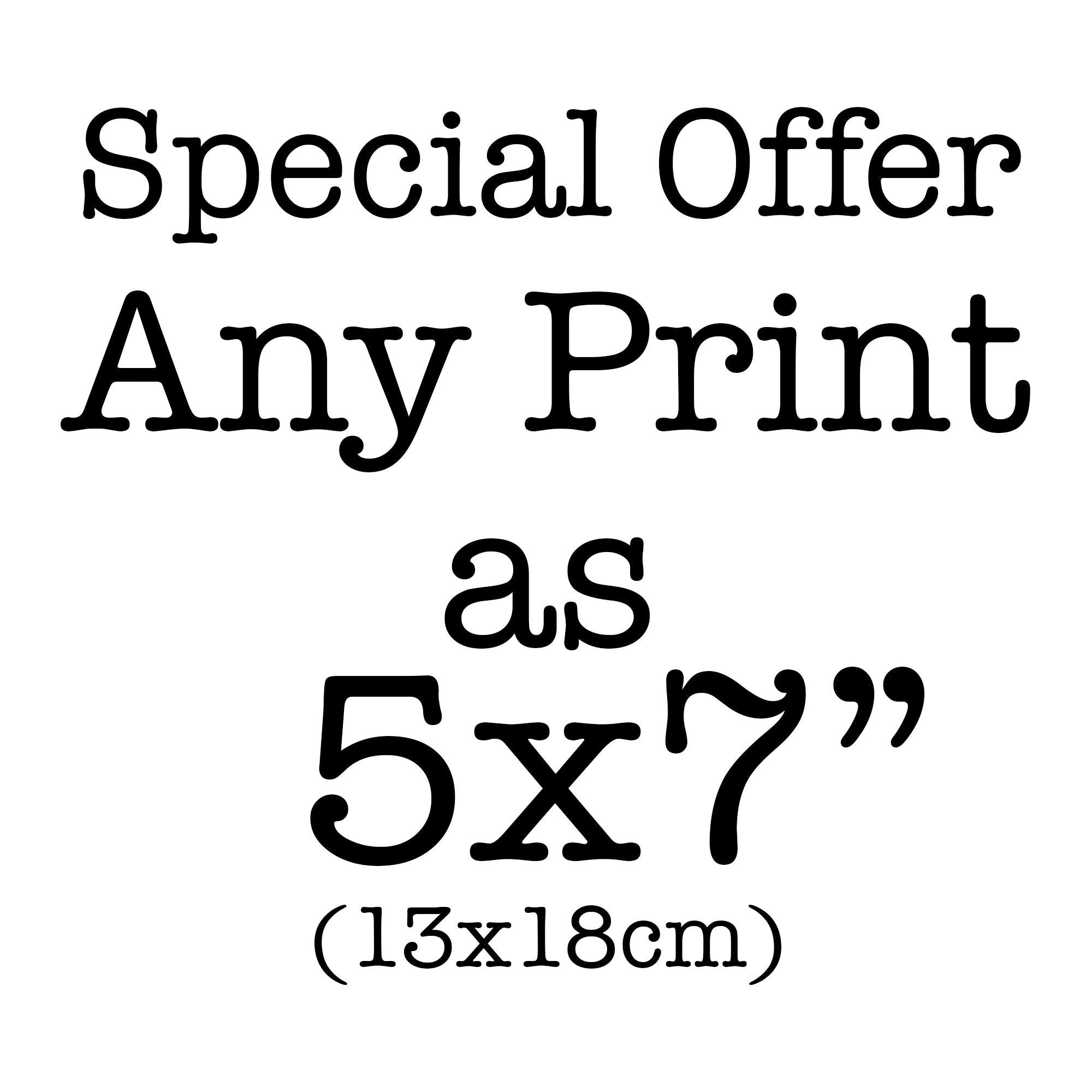 5x7 Art Print for Wall Decor in Black and White, Choose Any Print from Book Quote Decor