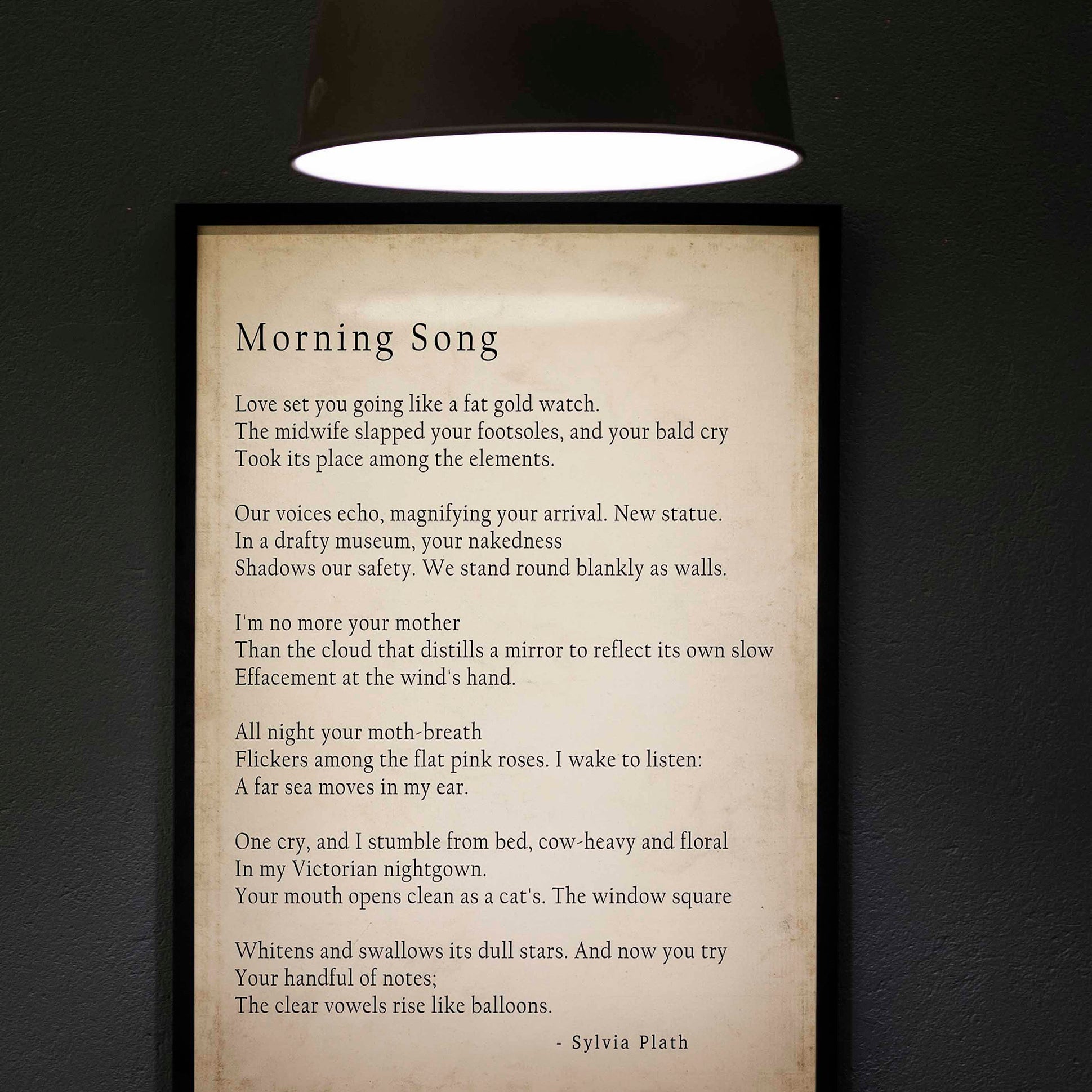 Sylvia Plath Poem Morning Song Print, Library Art