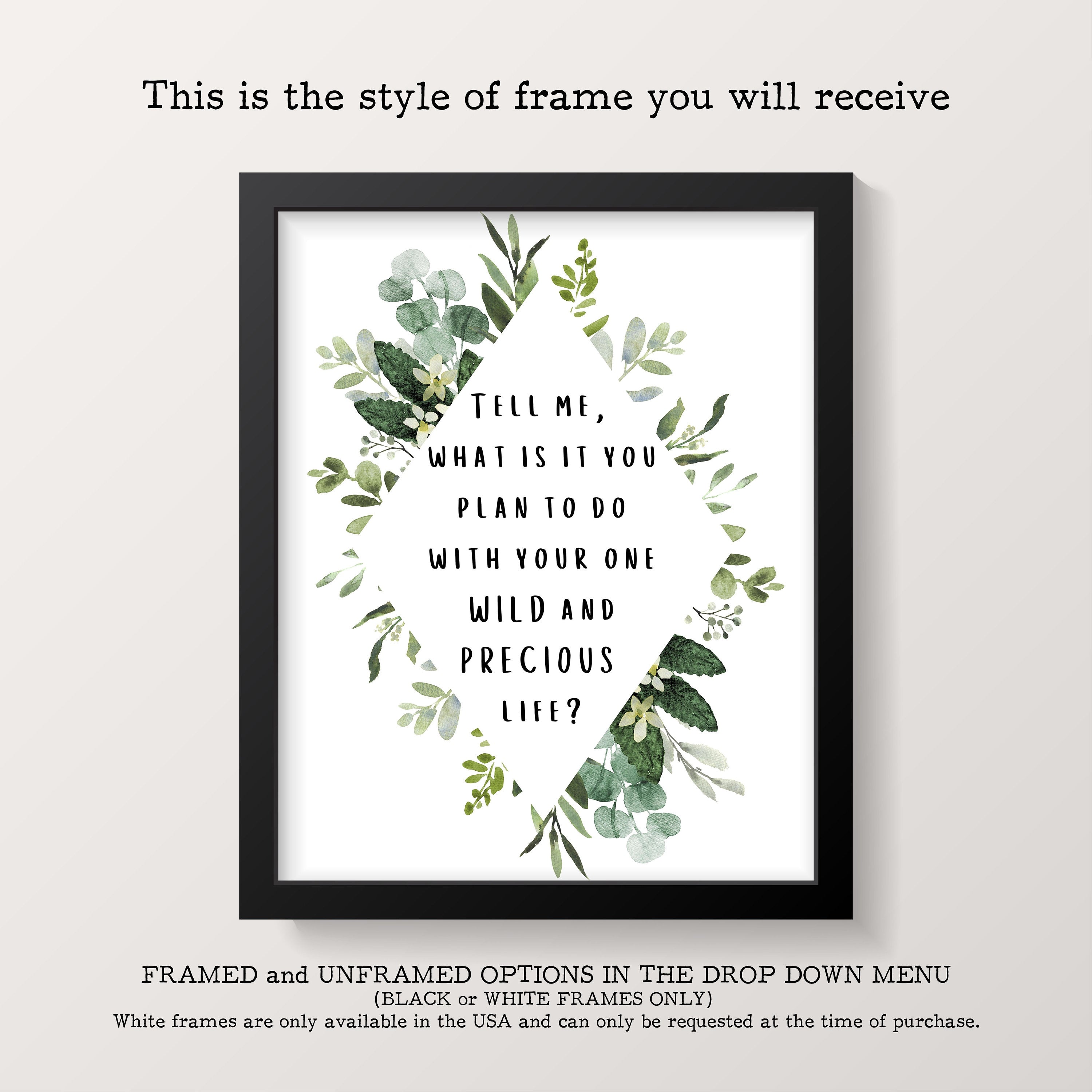 Tell Me What Is It You Plan To Do With Your One Wild and Precious Life? Living Room, Office or Bedroom Wall Decor